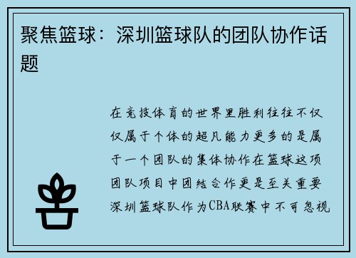 聚焦篮球：深圳篮球队的团队协作话题