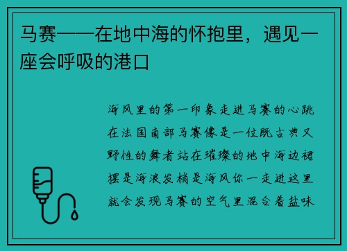 马赛——在地中海的怀抱里，遇见一座会呼吸的港口